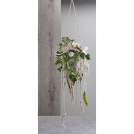 GLOREX 6 2027 113 Cardboard Cone, Natural, 10/18/26 cm