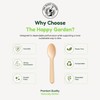 The Happy Garden Disposable Wooden Spoon, Pack of 100, 16
