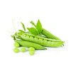Thomas Laxton Pea Seeds - 30 Grams - Non-GMO