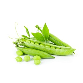 Thomas Laxton Pea Seeds - 30 Grams - Non-GMO