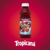 Tropicana Cranberry Juice Drink, 15.2 Ounce Bottle (Pack of 12)