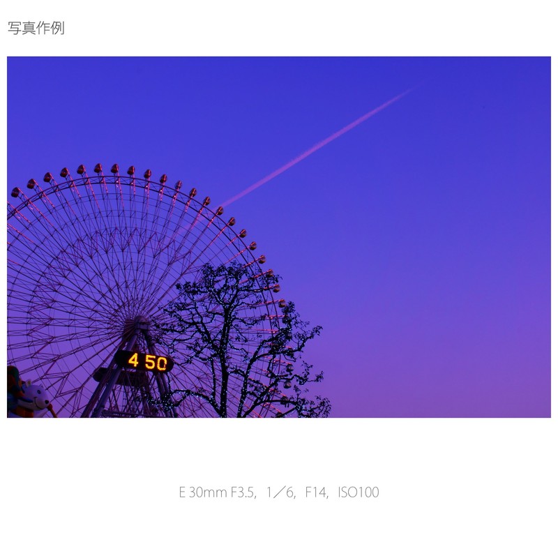 Sony SEL30M35 MILC Macro lens Silver Camera Lense