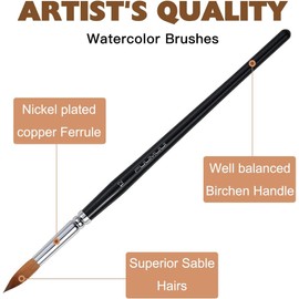 Fuumuui 8 Brush Set - Various Shapes with Flat, Round, Pointed Cat Tongue, Oval Wash, Perfect for Painting with Watercolour Acrylic Gouache Inks