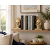 7 Inch Gold Skull Decorative Bookends Pair