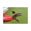 First Nature 3090 32-ounce Hummingbird Flower Feeder