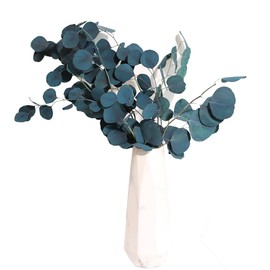 Eucalyptus Dried Flowers Eternal Durability Dried Flowers  Bouquet Decoration Home Living Room Decor