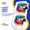 Parrot Stickers - Rainbow Bird Decals - Colorful Macaw Art