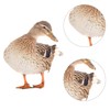 SULIUDAJI Duck Garden Stake Garden Decoration Chicken Garden Figurines Garden