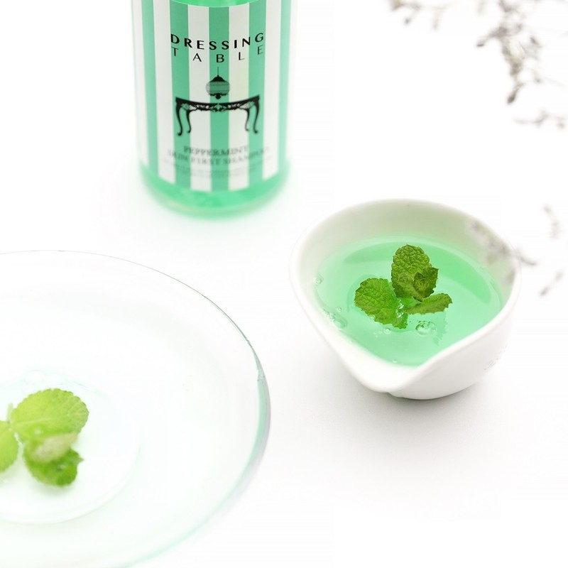 Cool Mint Cool Shampoo Oily Scalp Dandruff Youth Cool Cooling