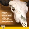 Skull Bracket Buffalo Bracket | Heavy-Duty Buffalo, Elk, Moose, Cattle