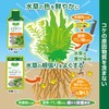 GEX MeGreen Bottom Sand Nutrition Pellet for Growing Aquatic Plants,
