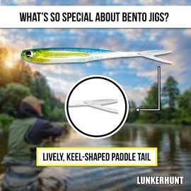 Lunkerhunt Bento Bait Fishing Lure (5 Pieces)| Each 4.5-Inch, Sassy Shad Color | Life-Like Saltwater and Freshwater Fish Baits, Award Winning, Soft Body for Bass Trout Fishing