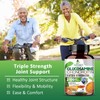 Glucosamine Chondroitin Turmeric Msm Boswellia - Triple Strength Joint Support
