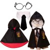 Cat Costumes 3 Piece Set with Glasses and Neckties, Cat