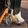 Hoof Pick for Horses Donkey Goat Hoof with Extra Stable