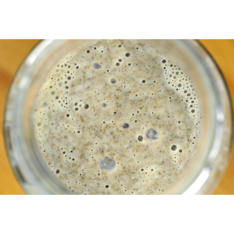 Good Gut Tribe - Fresh Sourdough Starters. Organic Certified. Vegan