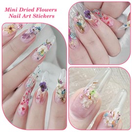 JERCLITY 4 Boxes Real Dried Flowers for Nails Mini Dried Flowers Nail Art Stickers Red Pink Purple Dried Gypsophila Flowers Nail Art Decals Natural Real Dry Flowers Nail Art Accessories for Women