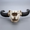 Simulation 3D animal skull,Animal goat skull Head Resin Wall Hanging