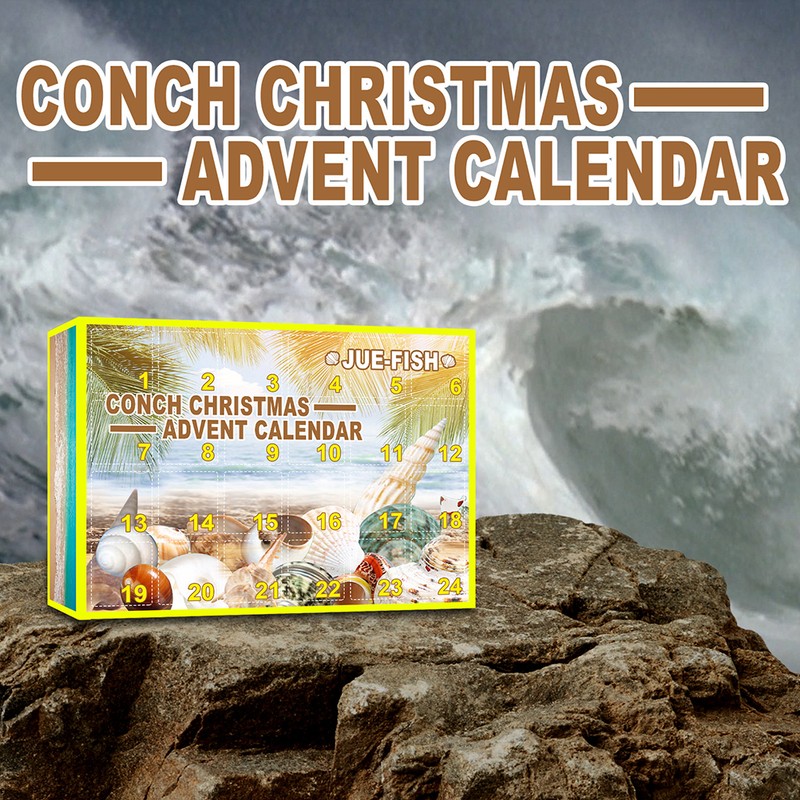 Christmas Countdown Advent Calendar 24 Pcs Shell Toys 2022 Conch