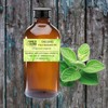 Wild Herb Oregano Pure Essential Oil (.5 OZ)