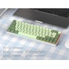 iRoboosta Green Matcha 65% Percent Small Mechanical Keyboard, 68 Key