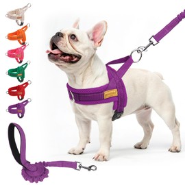 BEAUTYZOO Dog Harness for Small Dogs, No Pull Dog Harness and Leash Set, Soft Escape Proof Puppy Vest Harness with Handle, Reflective Lightweight Step in Harness for Girl Boy Dogs, Purple M