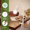 ledscom.de LELE Clamp Light with Gooseneck White with E27 Lamp