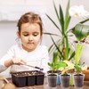 120 Pcs 2" Clear Mini Nurery Pots, Seedling Pots with