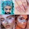 12 Colour Face Glitter Chunky Sequins and Fine Glitter Mix