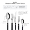 Sabre Paris | Famille BISTROT - 5 Piece Flatware (Black)