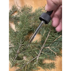 Monotropa  Uniflora Indian Pipe Ghost Pipe Plant Tincture Monotropa Uniflora 15 ml Drops