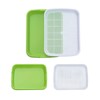 Gardzen 5-Pack Sprouts Growing Kit, Bean Sprouts Tray, Soil-Free Sprouting