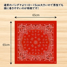 Studio Plus Large Bandana, 25.6 x 25.6 inches (65 x 65 cm), Wrap Around Your Head, Large, Easy to Use, Black, White, Light Blue Navy, Sweat Absorbent, Quick Drying, Triangular Width, Men's, Women's,