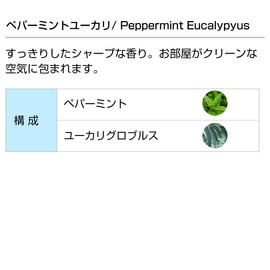 Peppermint Eucalyptus 30ml Aroma Blend Incent Essential Oil 30ml