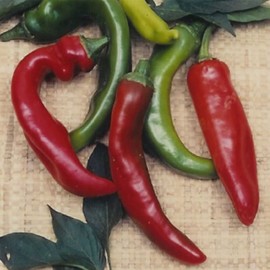 Anaheim Chili Hot Pepper Garden Seeds - 4 Oz - Non-GMO, Heirloom Vegetable Gardening Seeds