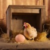 Pack of 5 Easter Eggs, Wooden Brown Fake Emergency Eggs