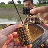 Pack of 10 Fishing Metal Cage Fishing Feeder Basket Feeder