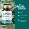 SOLVISAN Meno Balance - High Dose Yam Root, Red Clover,