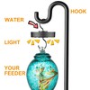 Ant Moat with Solar Lights for Hummingbird Feeders, Hanging Ant