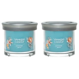 Yankee Candle Small Tumbler Scented Single Wick Jar Candle, Catching Rays, Over 20 Hours of Burn Time, 4.3 Ounce (Pack of 2)