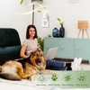 Plug Ins Refills Air Freshener 6 Pack