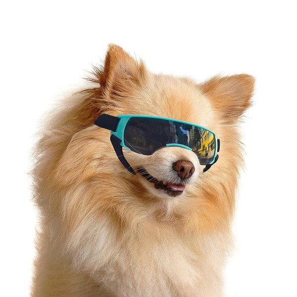 ENJOYING Dog Sunglasses Small Breed, Anti-UV Puppy Goggles for Small