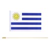 5 Pack Uruguay Uruguayans Small Mini Wood Hand Held Stick