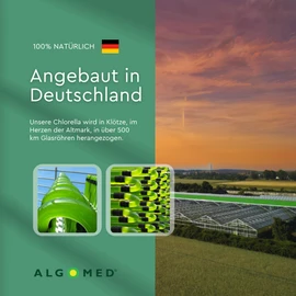 Algomed® Chlorella Vulgaris Microalgae Tablets 1417096 100 G Green