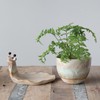 Creative Co-Op Stoneware Snail Planter, Reactive Glaze, (Each One Will