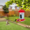 Smart Bird Feeder with Camera, AI Identify Bird Species, Solar-Powered