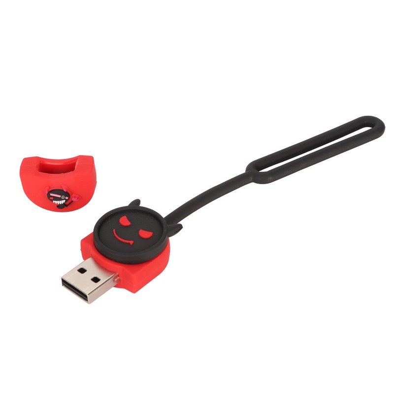 USB2.0 U Disk Cartoon Supports Hot Swappable Plug and Play