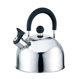 Tea Kettle - Whistling Tea Pot for Stovetop - Stainless Steel 2.5 Liter