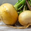 Organic Turnip Seeds (Golden Globe) - Approx 500 Seeds -