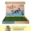 Gotta Go Grass for Small Animals – Natural Real Grass